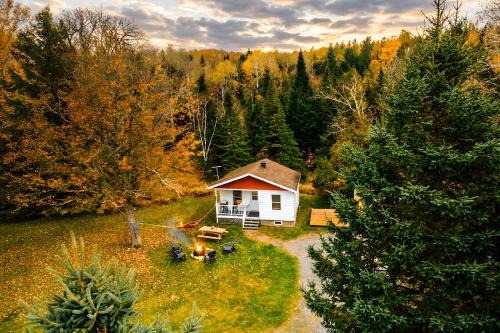 Chalet with Spa in the Forest- Nature Awaits