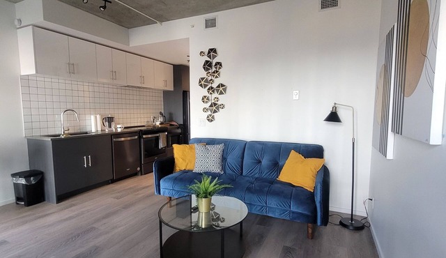 Chic Bridgeland 1 BR condo wt prkng sleeps 4 5 min to DT