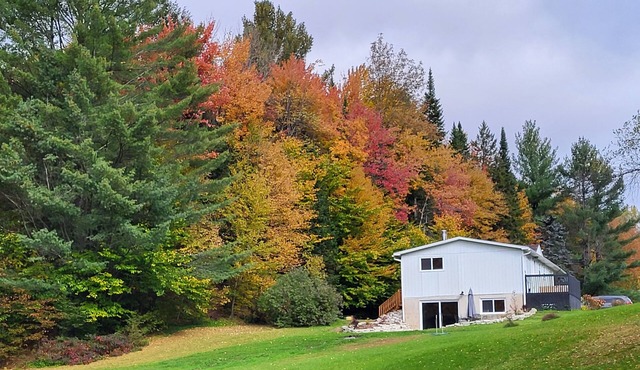 Comfy creekside chalet+5 skiResorts+HiSpeedNet&Workspace+Fireplace&Hometheater