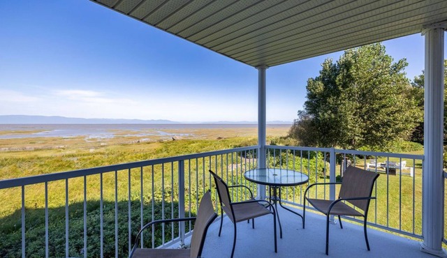 Condo by the river - migratory birds in the spotlight