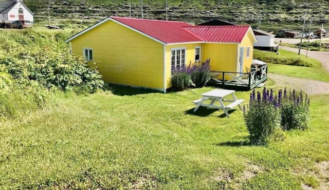 Cottage by the sea. Five minutes from the Newfoundland ferry!