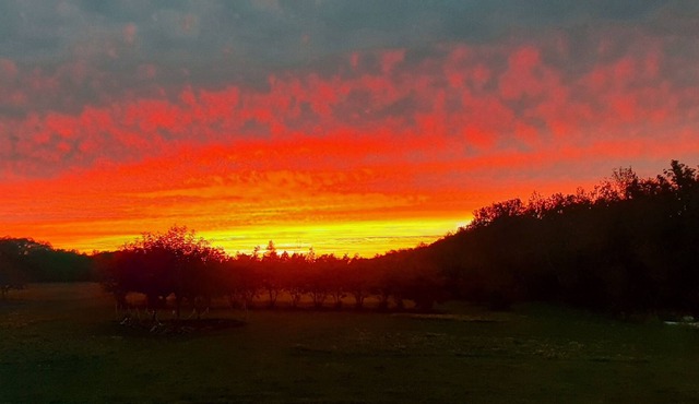 Country home with games room and 5 acres, near Birds Hill Park