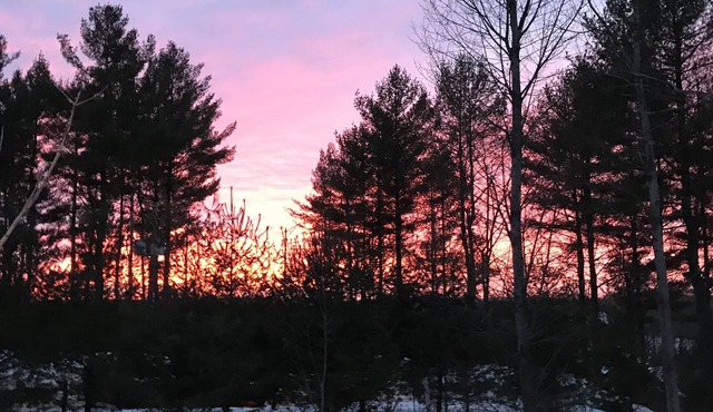 Cozy and secluded cottage on a private road. 7 minutes from all amenities.