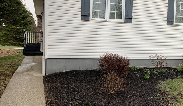 Cozy apartment close to all amenities