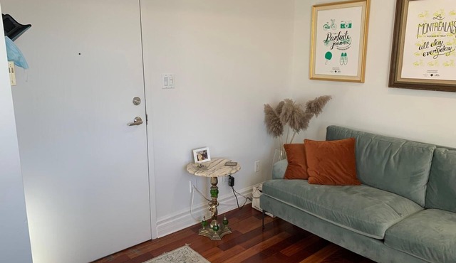 Cozy apartment in Downtown Montreal, Old Port, Quartier des spectacles