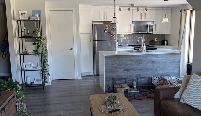 Cozy Apartment with Large Balcony, Steps to Metro and Downtown Montreal