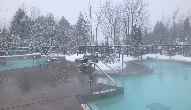 Cozy Blue Mountain Condo -Ski, Swim, Hike, Enjoy