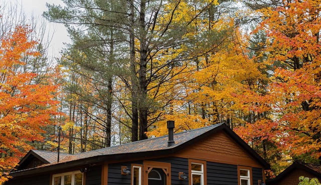 Cozy Cabin in the Woods - The Doma Lodge