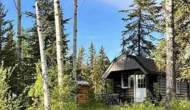 Cozy cedar cabin on 2 acres at Sheridan Lake
