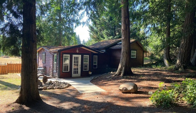 Cozy Cobble Hill cottage-one bedroom detached private suite.