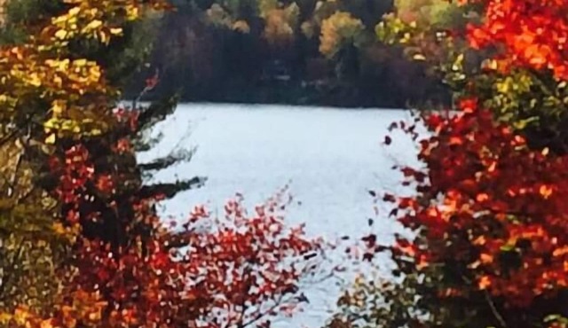 Cozy Lake Access Loj + Hot Tub & Fire Pit