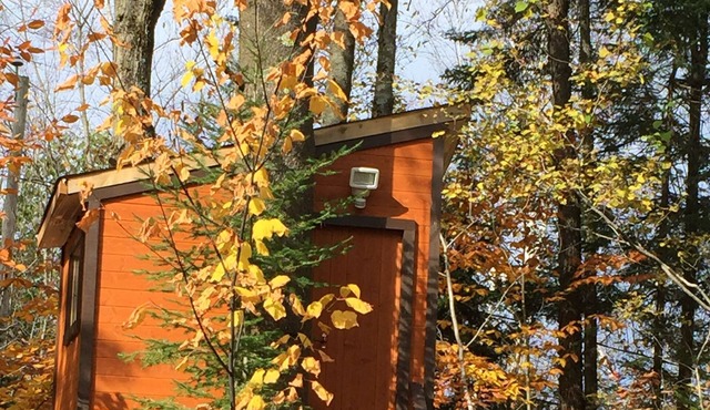 Cozy retreat in nature with all the comforts of home