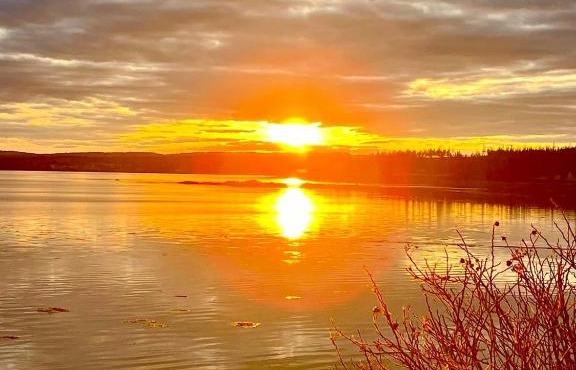 Edgewater sunrise apartment