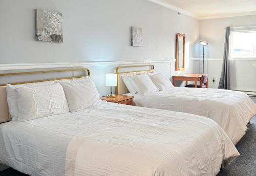 Elite Hotel -Downtown Center- 24 hours "Ski & Northern light Tour" "Hot Spring Tour "Long-term stay"
