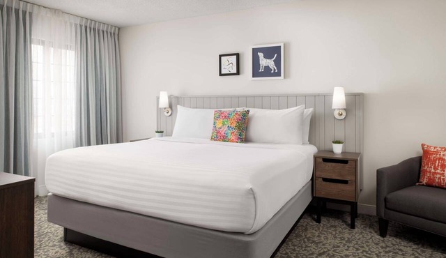 Enjoy Comfort & Convenience at This Modern Thornhill Suite with Swimming Pool