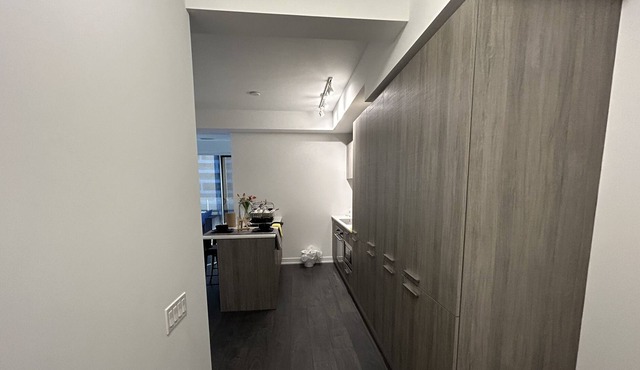 Entire Home in downtown Toronto