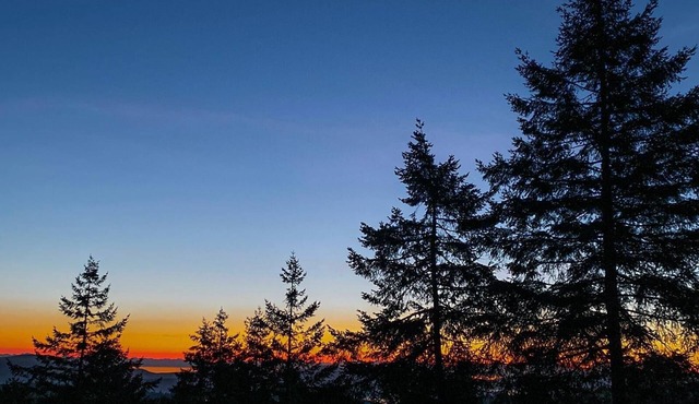 Entire Suite,Ocean,mountain view,jacuzzi in the Suite,next to Mount Maxwell park