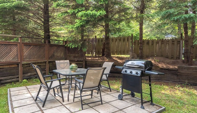 Evora Cozy 2BR Chalet Fireplace & BBQ Val-David