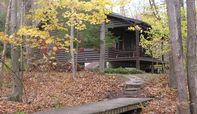 Experience Delaware Riverfront cabin nestled in the woods, Pet/Family Friendly
