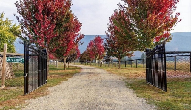 Farm estate, trampoline, goat yoga and feed the farm animals!