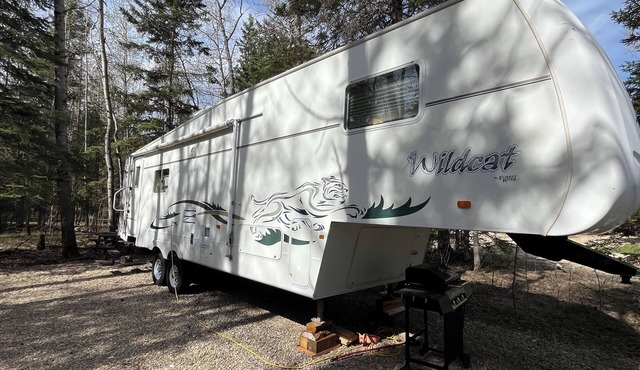 Finch - Camper at Sunset Bay