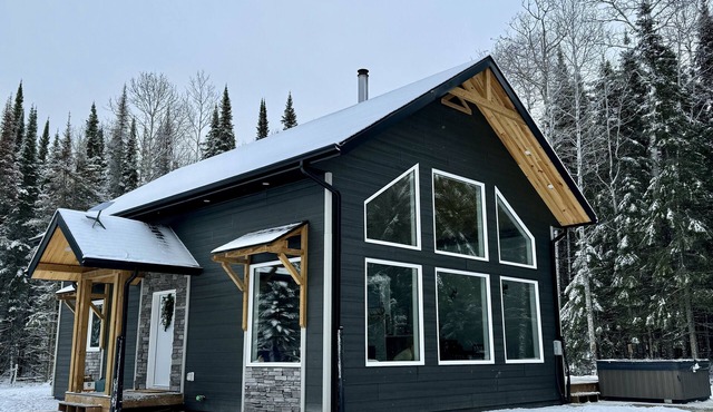 Forest Cabin Getaway! Sleeps 8, Hot Tub, Fireplace