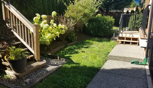 Fraser Heights 3 Br Basement Suite Surrey