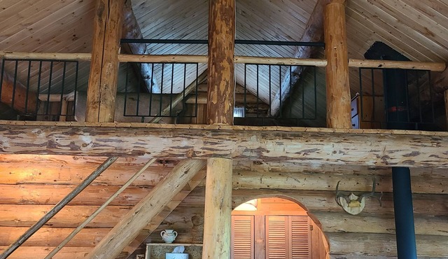 Fun Family Cabin