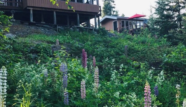 Gorgeous Lake of the Woods Cabin