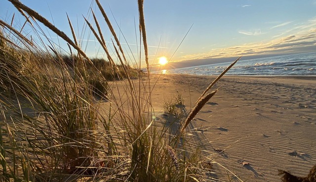 Grand Bend-Pinery Park- Bike or hike to the beach & river ( families/couples)