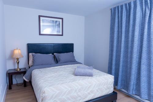 Honeycomb Suite