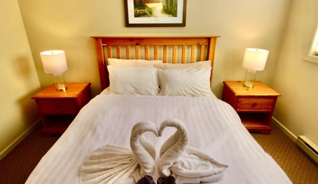 Hotel-Style Studio Suite | Hot Tub | Sauna | BBQ