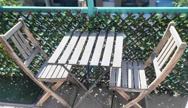 Immaculate 1 Bed 1 Bath w/ Private Rooftop Balcony! DT! Pet Friendly!