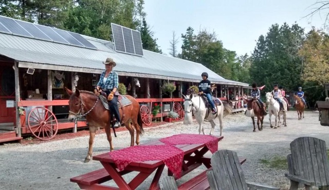K!cking Mule Guest Ranch