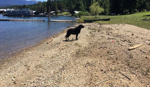 Kootenay Lake Cottage on the Beach-Pet Friendly-Sleeps 4