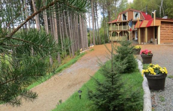 La maison sous les arbres