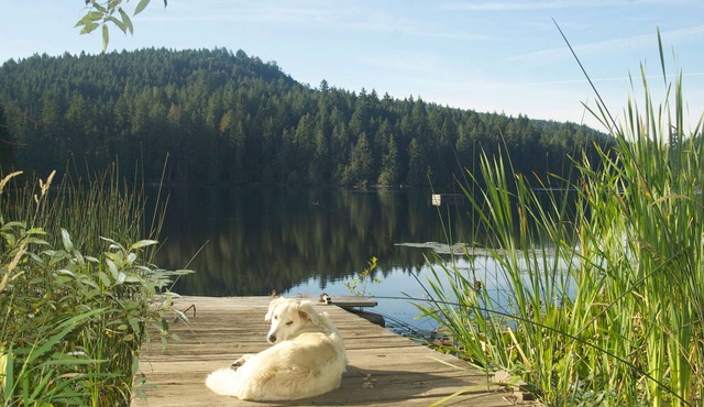 Lake House Saltspring Island
