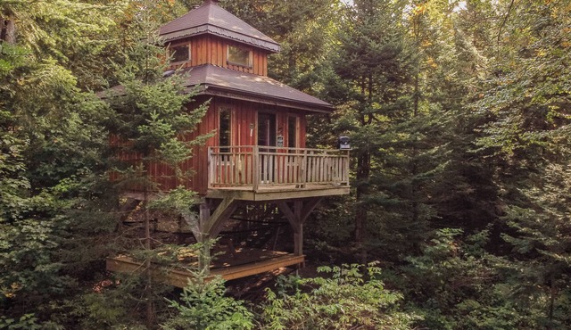 Lakefront treehouse, close to parking | Lodging #03