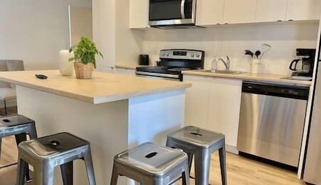 Large 3-Bedroom Apartment +
