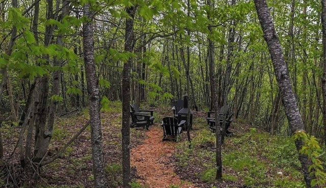 Le Bosquet - Wooded Escape & Modern Comfort