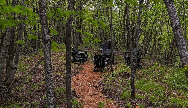 Le Bosquet - Wooded Escape & Modern Comfort - Private Spa