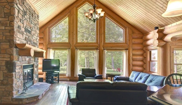 Le lapin des bois - Chalet #11