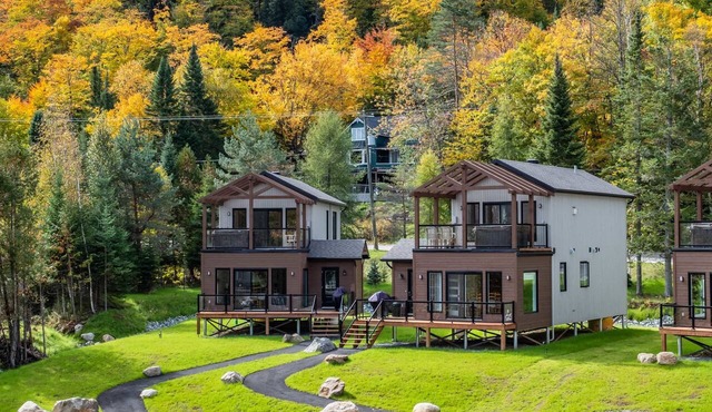 Les Chalets Sauvignon