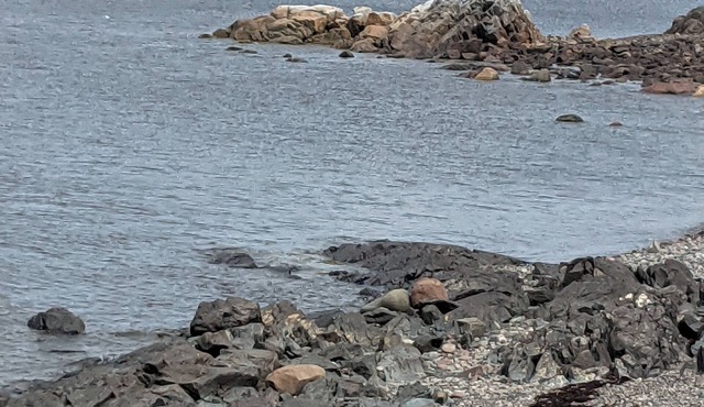 Little Burnt Bay Paradise