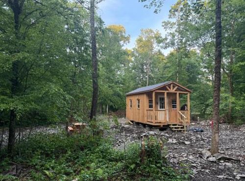 Live The Outdoors Camp