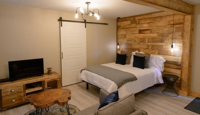 Loft in the city centre (Le Court-toit)