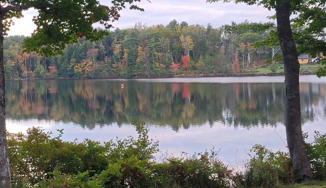 Lovely 1-bedroom Apartment on Fancy Lake