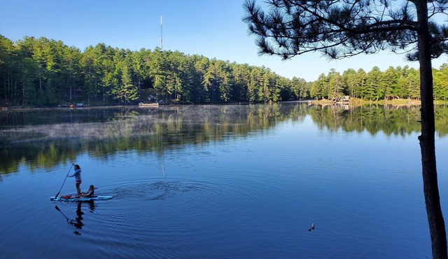 Lovely Muskoka cottage on the Trent Severn River.