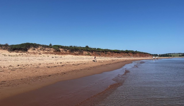 Luxury 3 bedroom w/kings listing in North Rustico- walk to the beach
