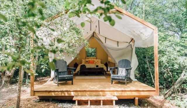Luxury Glamping on Elora Flower Farm - Honeybee
